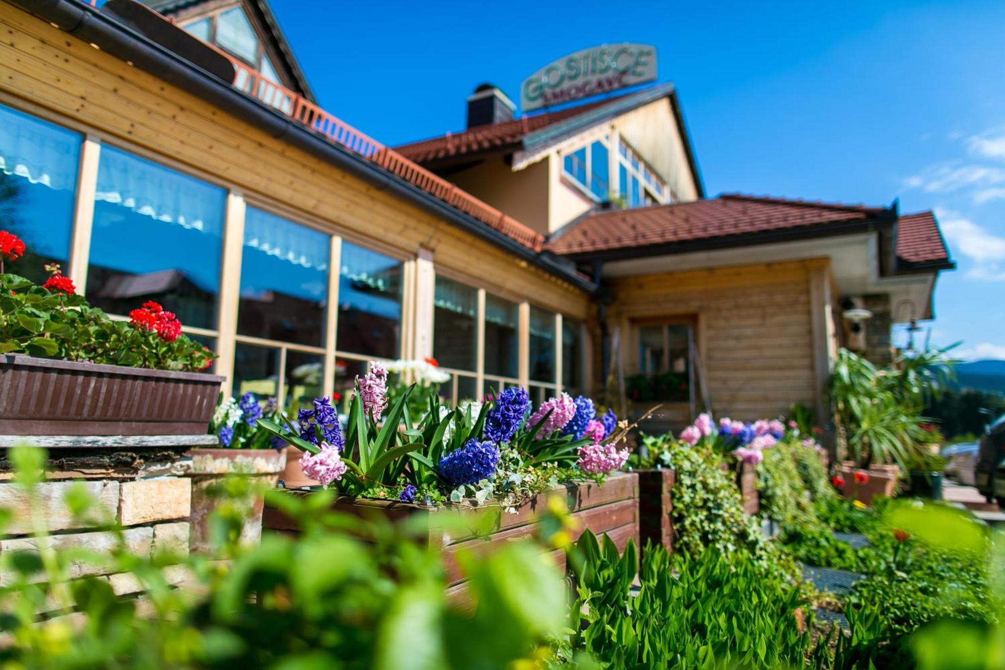 Guesthouse Smogavc Зрече Екстер'єр фото